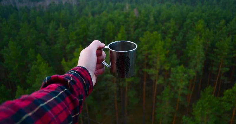 Le comparatif rapide : sauvage vs aménagé en forêt